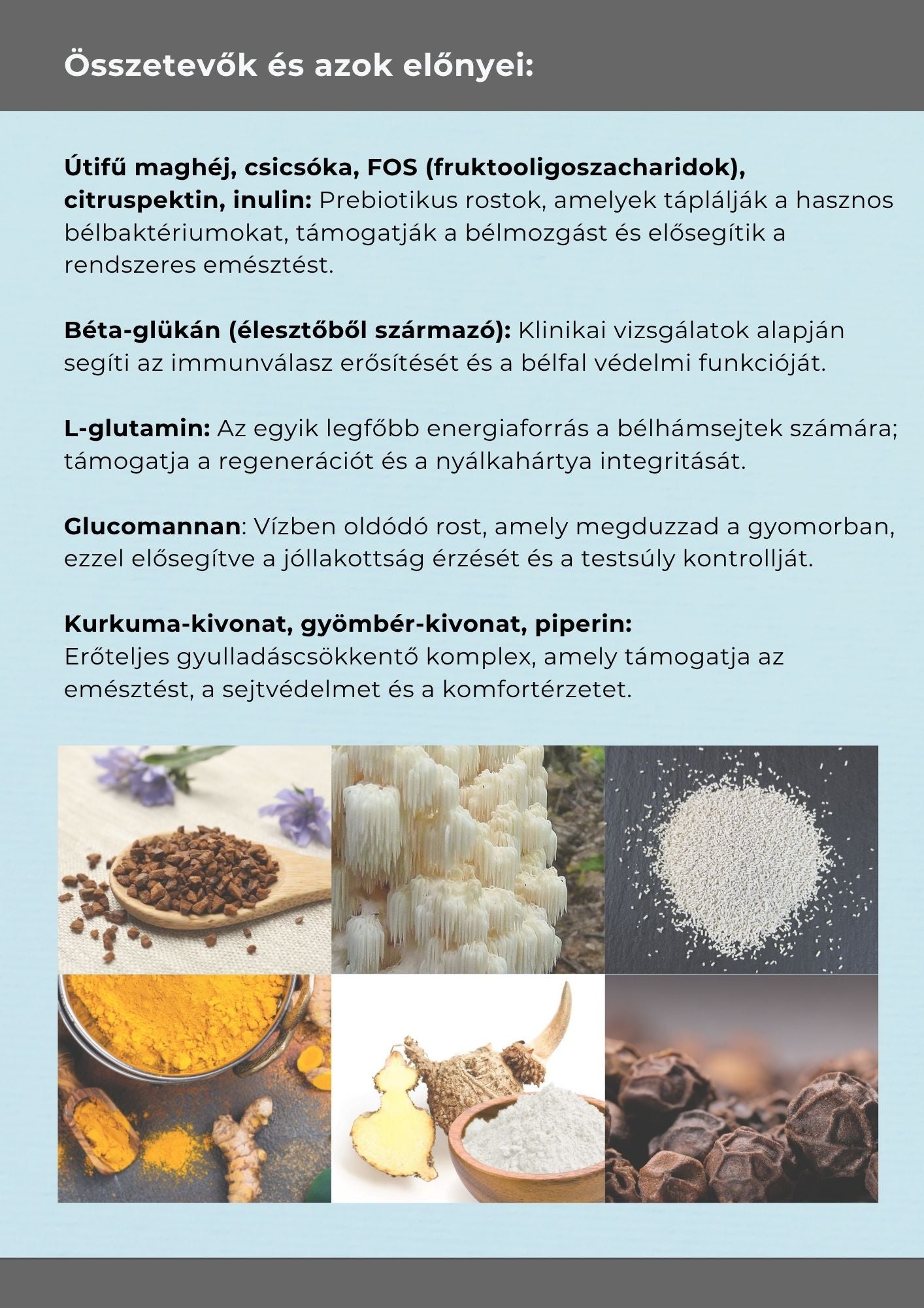 FIBERSYN+ Prémium rost komplex